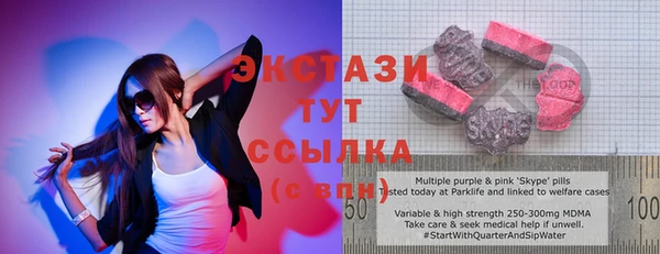 шишки Ельня
