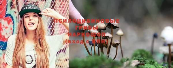 крисы Бердск