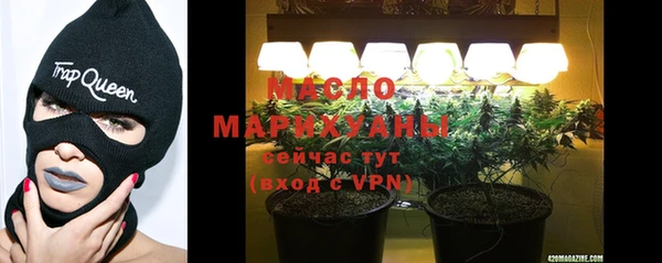 шишки Ельня
