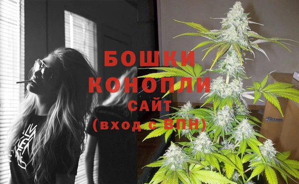 шишки Ельня
