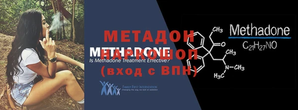 шишки Ельня