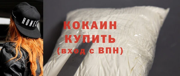 шишки Ельня