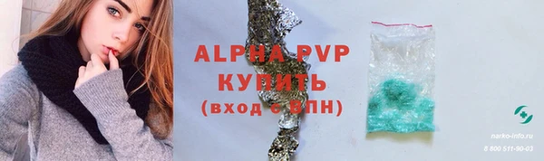 шишки Ельня