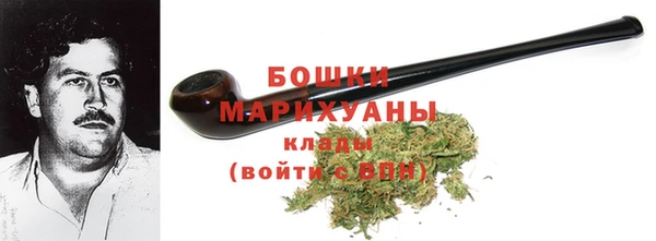 шишки Ельня
