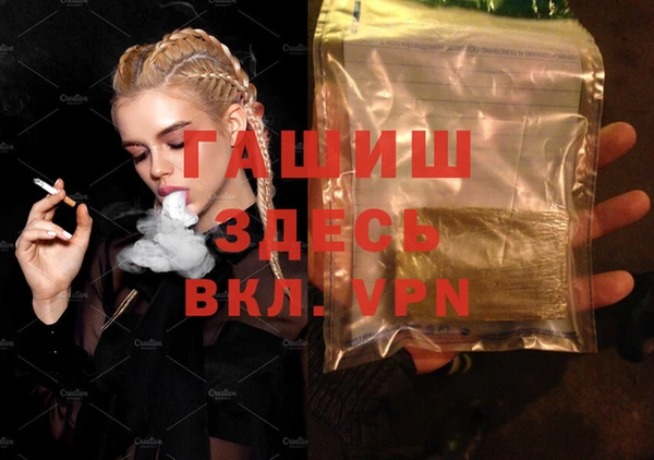 шишки Ельня