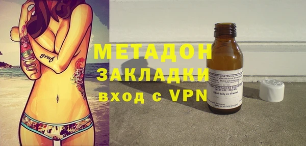 шишки Ельня