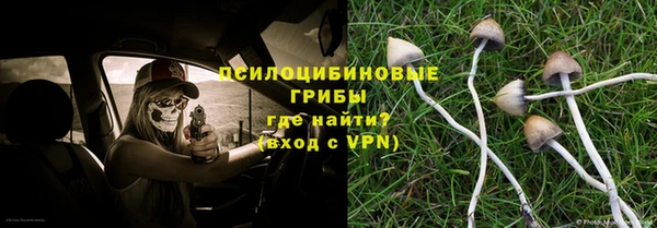 a pvp Елабуга