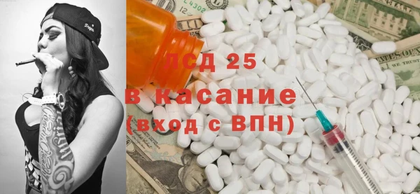 шишки Ельня