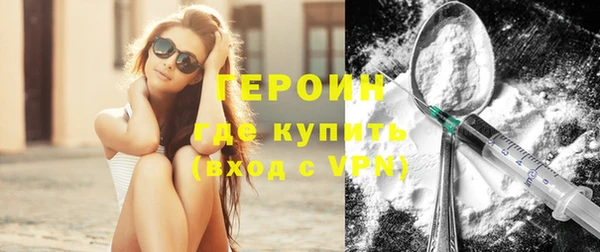 шишки Ельня