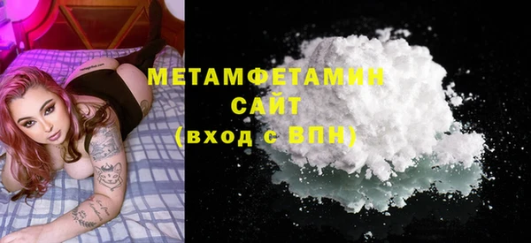 шишки Ельня
