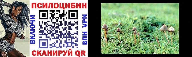 Галлюциногенные грибы прущие грибы  где можно купить   Каргополь 